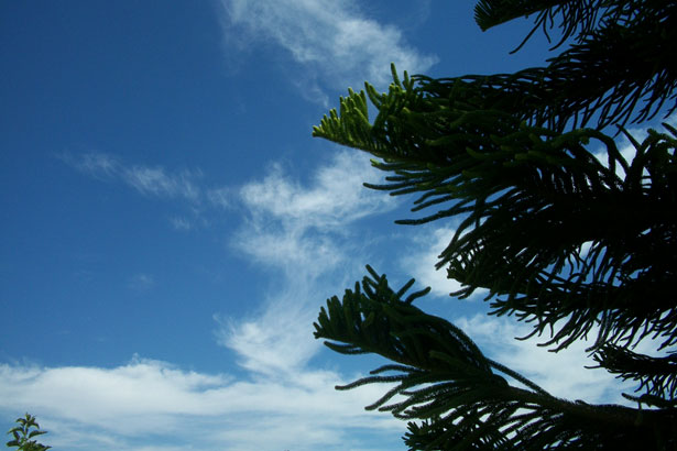 http://www.publicdomainpictures.net/pictures/10000/nahled/2576-1273019793491M.jpg